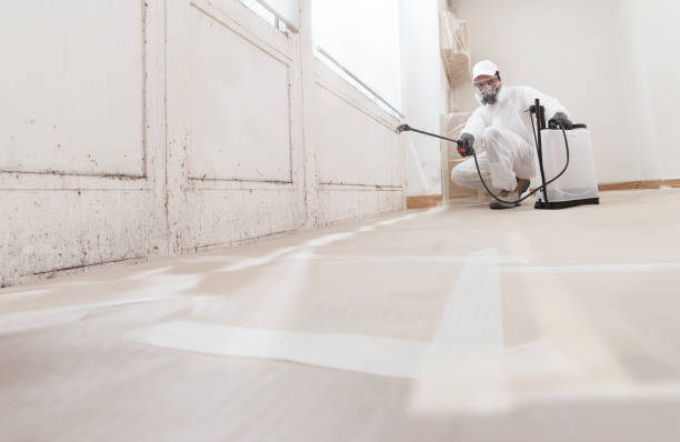 24/7 Emergency Attic Mold Remediation experts in Honor, MI